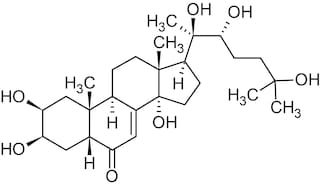Turkesterone ja beta ectysterone - lisää lihasta vai rahanmenoa?